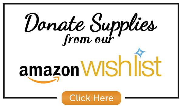 Donate Supplies from our Amazon wishlist